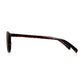 Read Optics Shiny Dark Tortoiseshell Round Sun Reading Glasses for Men & Women
