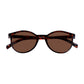 Read Optics Shiny Dark Tortoiseshell Round Sun Reading Glasses for Men & Women