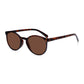 Read Optics Shiny Dark Tortoiseshell Round Sun Reading Glasses for Men & Women
